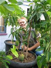 image: Dwarf Fruit Trees