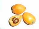 image: Loquat