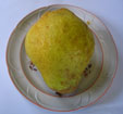 China Pear
