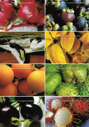 Australian Rare Fruit Magazine 2011
