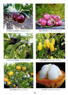 Fruit Tree Catalogue Inside Colour Pages