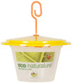 Male Fruit Fly Trap