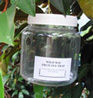 Wild May Fruit Fly Trap