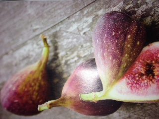 Blue Provence Fig Tree