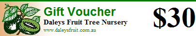 30 dollar gift voucher