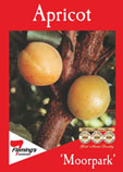 Moorepark Apricot