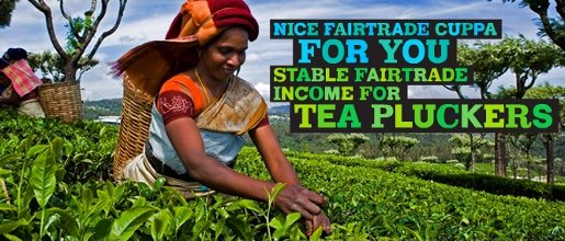 Fair trade tea