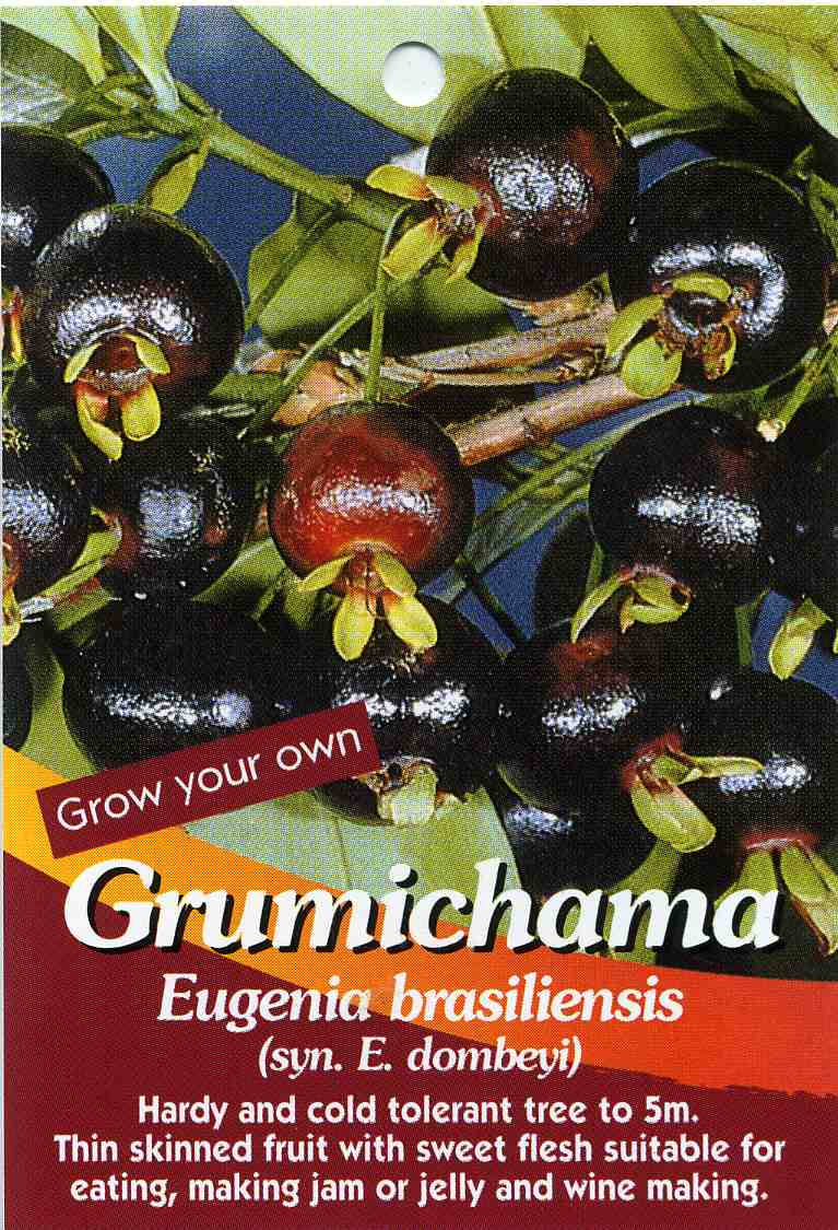 Grumichama+tree