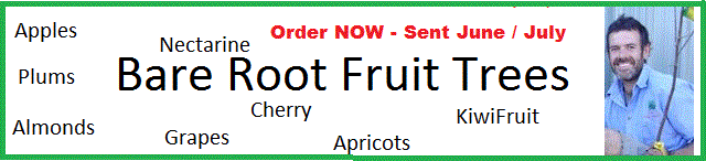 Picture: Bare Root Fruit Trees Order NOW sent in June/July