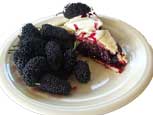 Mulberry Pie