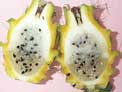 Dragon Fruit seeds