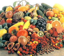 fruit%20glowi.jpg