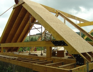 image: Structural Timber Trees