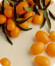 Kumquat