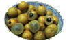 image: Longan