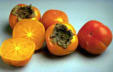 Persimmon