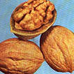 image: Walnut