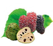 image: Subtropical Fruits
