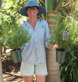 Carla Retail With Plants