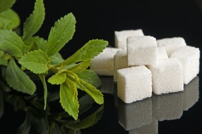 Stevia Sweetener