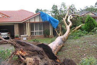 Cyclone Oswald