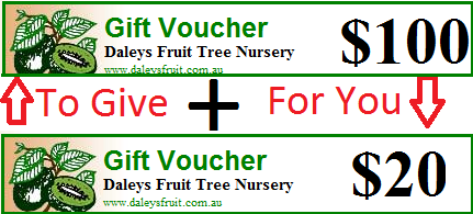 $100 Voucher to Give, $20 Voucher for you