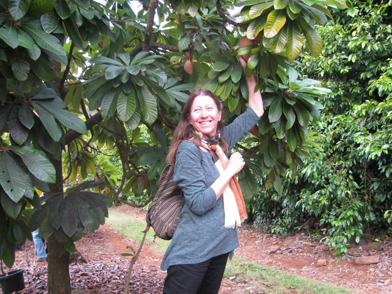 Carla under a Mammy Sapote