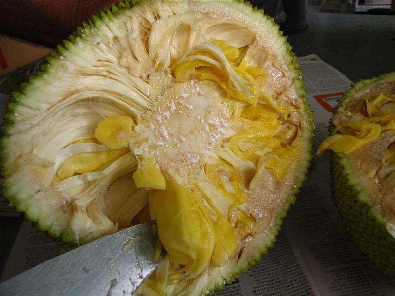 Cut jakfruit