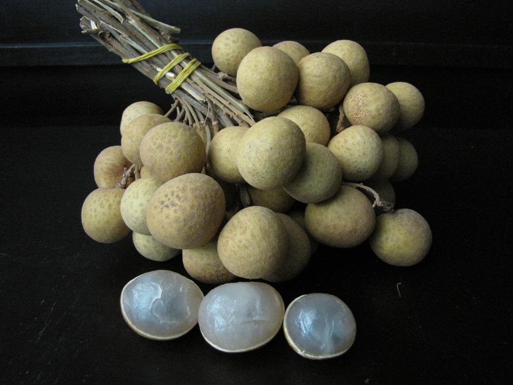 Longan