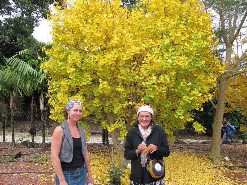 Michelle and Nina with a Gingko