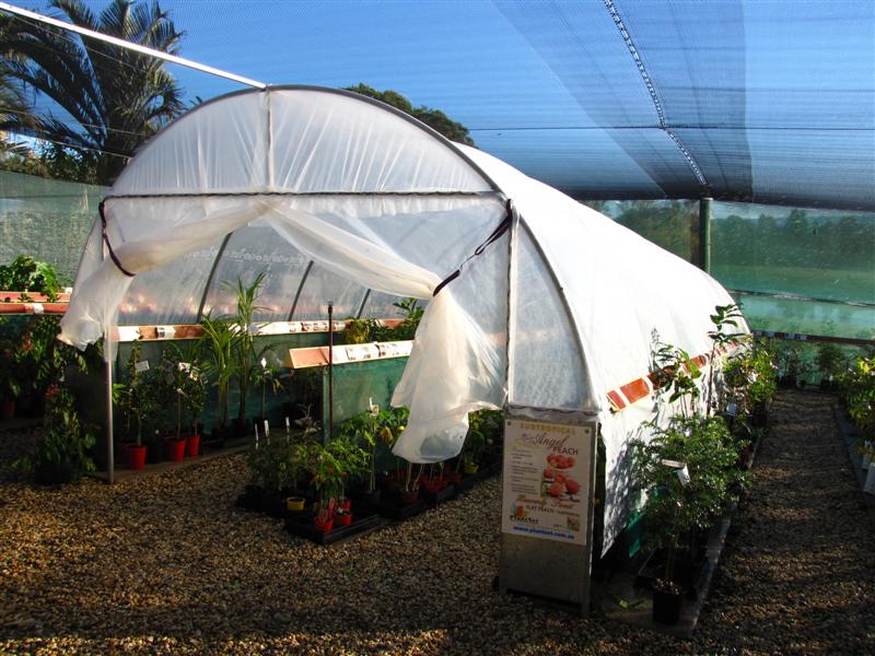 Retail Poly Tunnel