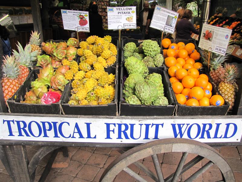 Tropical Fruit World Display