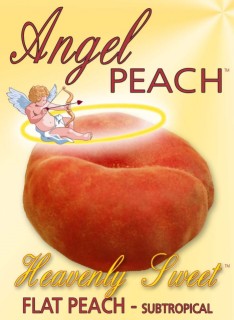 Angel Peach