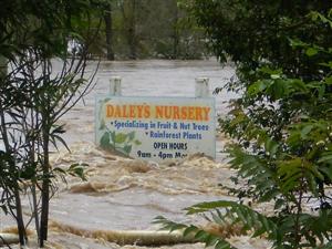 Daley's Nursery Sign