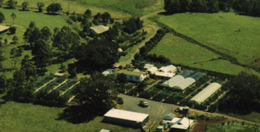aerial photo of daleys nursery in 1989