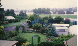 The Flood of 1990, Picture from the retail section of the nursery