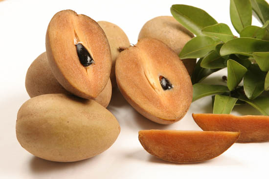 Sapodilla