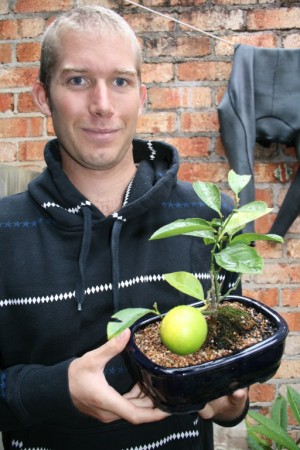 Bonsai Lemon Tree