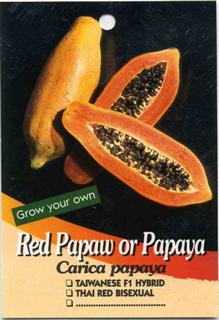 Pawpaw Sothern Red