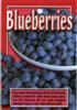 Sharpblue - Blueberry