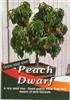 Dwarf Peach Tree