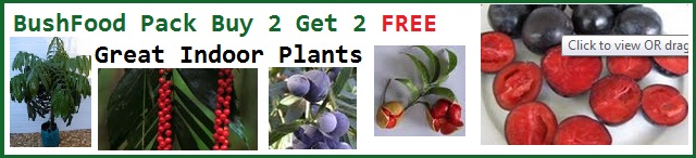 Bushfood pack buy 2 Get 2 FREE