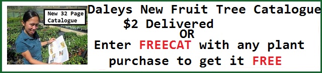 Daleys Fruit Tree Catalogue