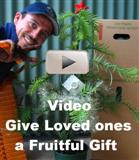Video: Give Loved Ones a Fruitful Gift for Birthdays, Thankyous and Christmas