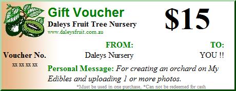 My Edibles Gift Voucher $15