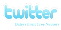 Daleys Twitter